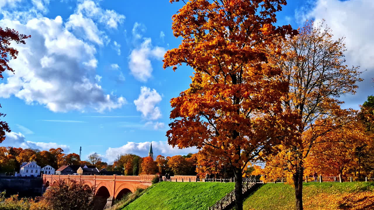 Tilt down from autumn tree canopy to quiet park with bridge and walking path below