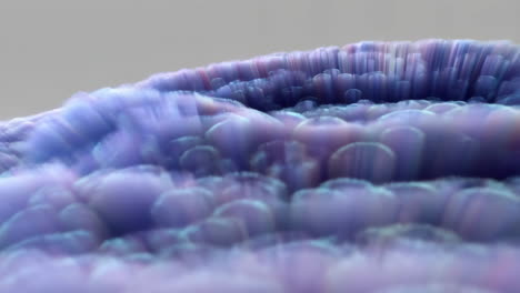 abstract purple and blue wavy texture