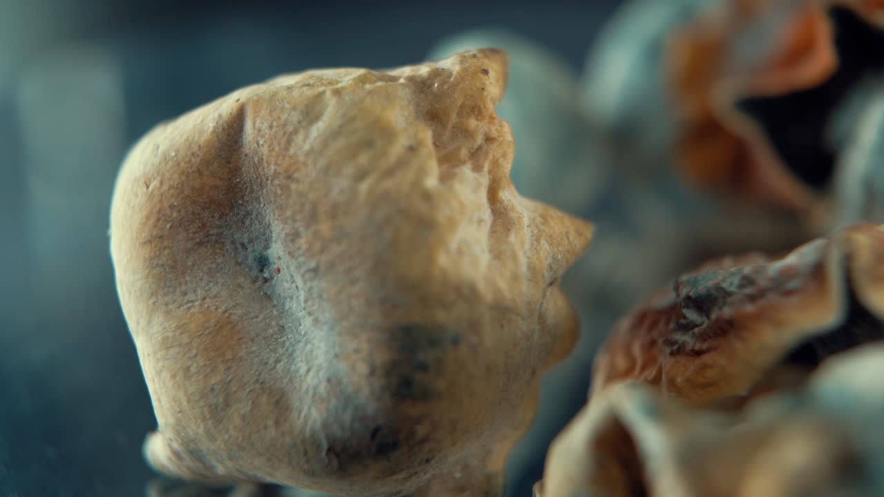 A super Macro cinematic shot of a magical psychoactive psilocybin hallucination dried mushroom with a yellow red cap, on a rotating reflecting stand, studio lighting, Full HD, slow motion 120 fps