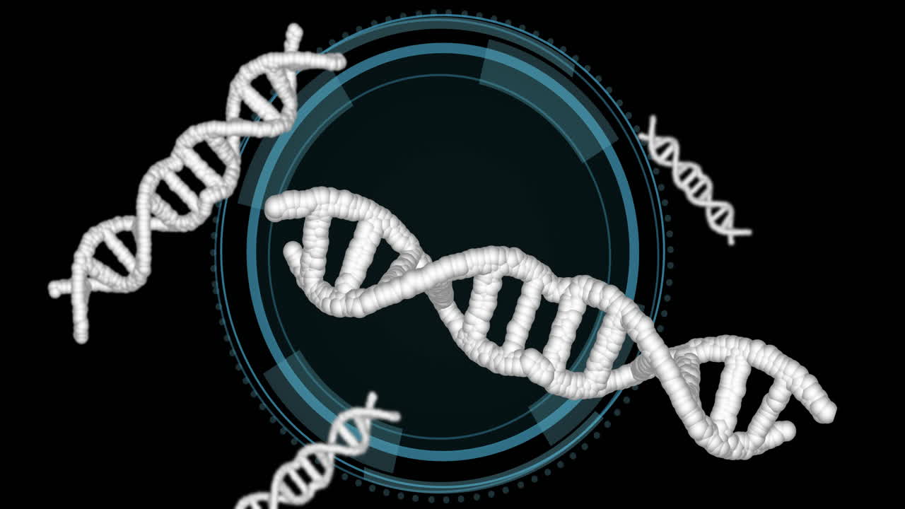 cadenas de adn y interfaz digital circular, animación científica