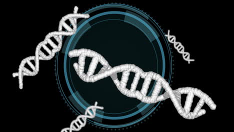 dna strands and circular digital interface, scientific animation