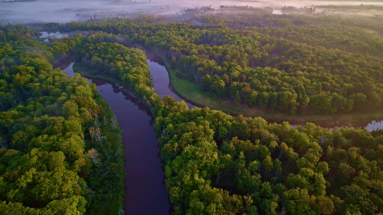 Drone shot on a foggy morning of the wild bends of the manistee river