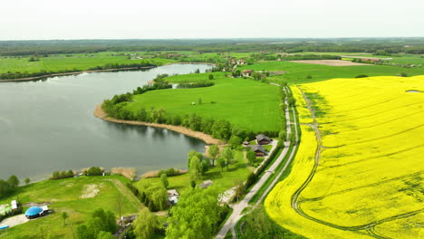 Aerial-view-of-a-lake-surrounded-by-green-fields-and-a-bright-yellow-rapeseed-field,-with-houses-and-trees-nearby