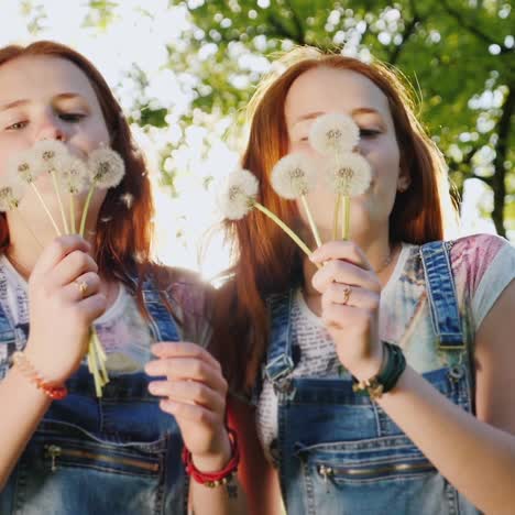 Funny-Redheaded-Twin-Girls-Teenagers-Play-With-Dandelion-Flowers-Blow-Off-Seeds-1