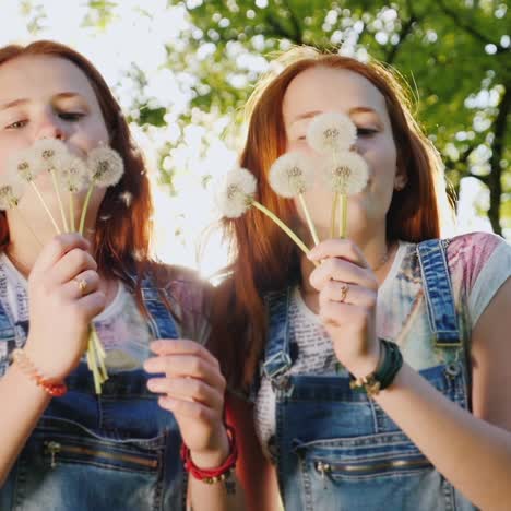 funny redheaded twin girls teenagers play with dandelion flowers blow off seeds 1