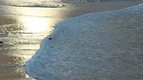 Der-Strand-Bei-Sonnenuntergang-An-Der-Südafrikanischen-Küste