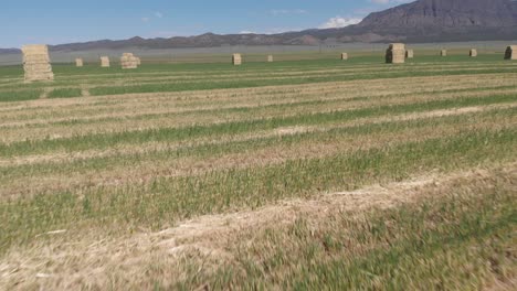 aerial footage of a hay field