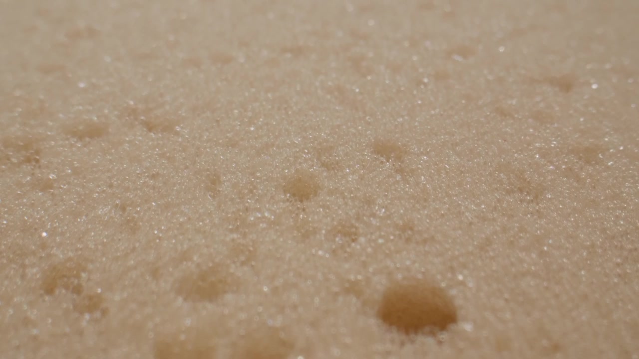Close Up of Wet Porous Sponge Texture