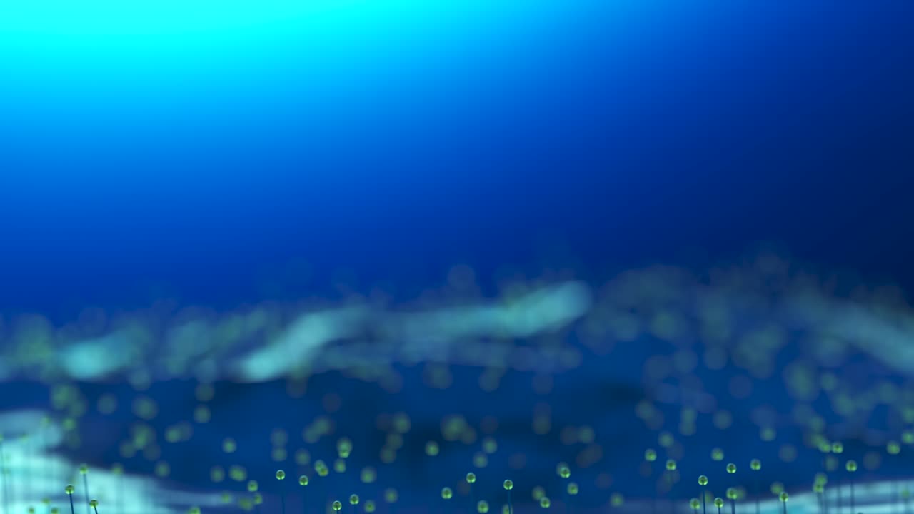 빛나는 수중 식물