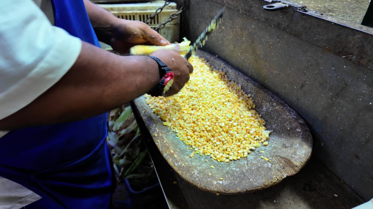 Close-up of hands peeling corn, focuses on manual work in a rustic setting