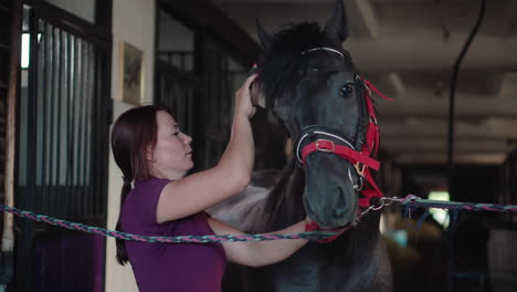 mujer arreglando un caballo en un establo