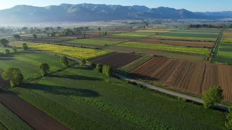 Bunt-Gesäte-Parzellen,-Die-Im-Morgengrauen-Unter-Den-Ersten-Strahlen-Der-Sonne-Leuchten:-Eine-Friedliche-Harmonie-Menschlicher-Arbeit-Und-Natur