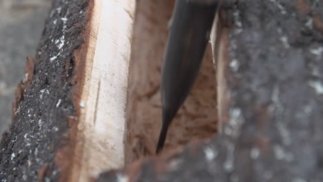 cerrar carpintería con cincelado del hueco de un tronco de madera