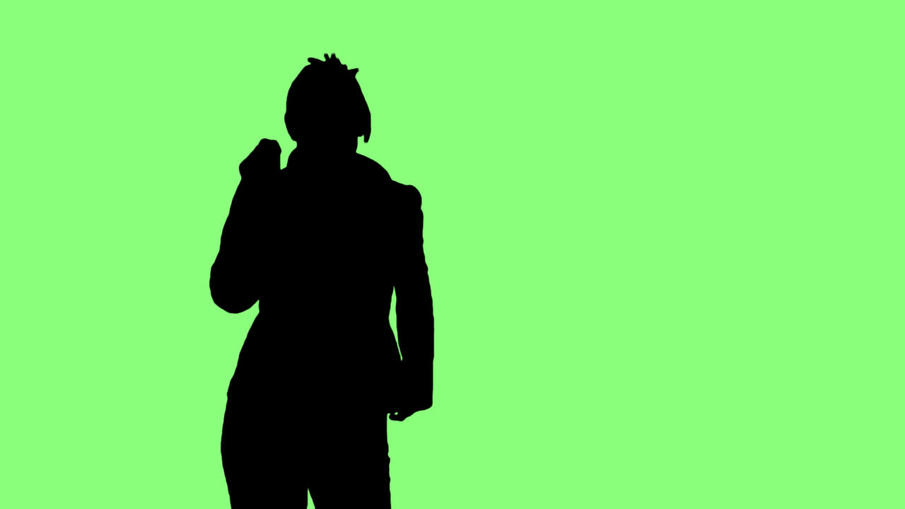 실루 ⁇  댄서 의 주식 애니메이션