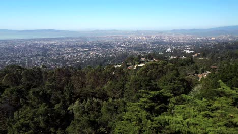 Hermoso-Avance-Sobre-Los-árboles-Para-Revelar-Una-Súper-Ciudad-En-La-Bahía