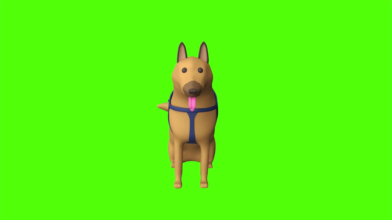 perro alemán feliz en pantalla verde