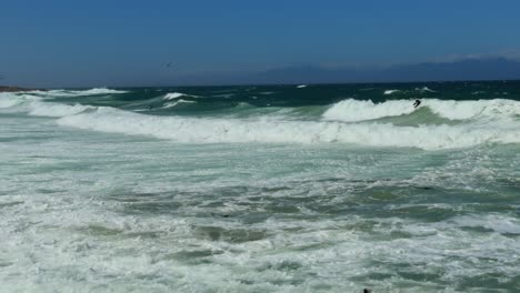 the ocean and what is looks like now covid is 0ver