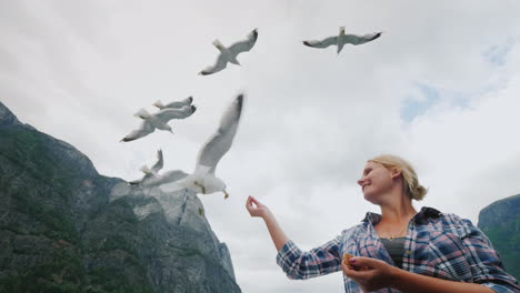 Eine-Frau-Füttert-Möwen-Eine-Kreuzfahrt-Auf-Den-Fjorden-In-Norwegen-Beliebte-Unterhaltung-Für-Touristen-4k-Vide