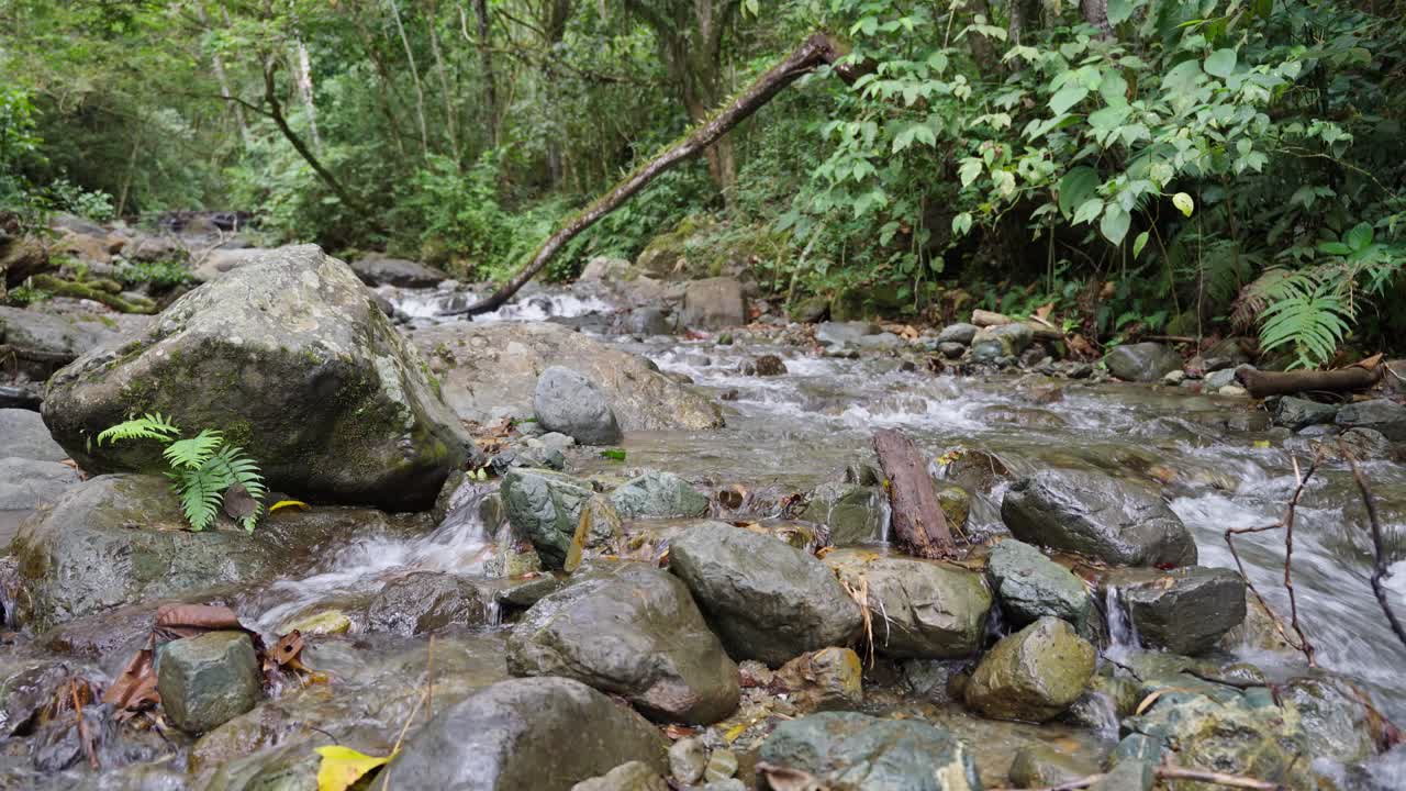 Close up footage of El Cerrito River in Valle del Cauca Colombia showing detailed view of flowing water and natural tropical environment