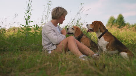 amante de mascotas sentada en un campo de hierba con sus perros, besando juguetón a uno mientras lo empuja hacia atrás a medida que se acerca, con la correa alrededor de sus cuellos, otro perro se sienta cerca viendo