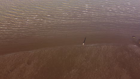 Man-walking-on-muddy-river-shore-during-ebb-tide-at-River-Plate-in-Buenos-Aires-during-summer-day