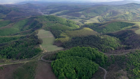 Luftaufnahme-Einer-Kleinen-Straße,-Die-Durch-Eine-Wunderschöne-Landschaft-Mit-Bäumen-Und-Hängen-Führt