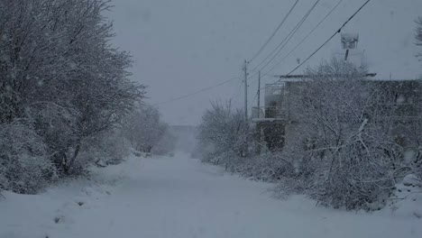 village road in snowfall