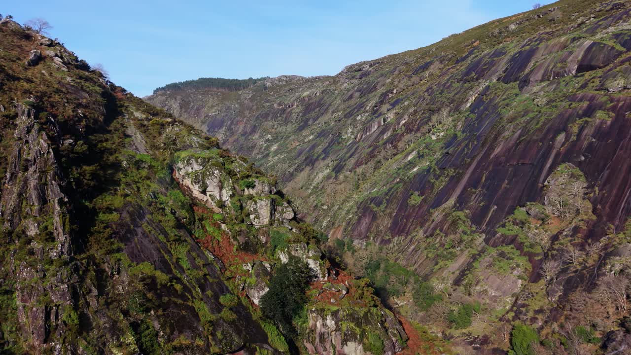 Steile, zerklüftete Schlucht mit üppiger Waldvegetation entlang des Flusses Eume im Naturpark Fragas do Eume, Galicien, Spanien. Seitliche Drohnenaufnahme.