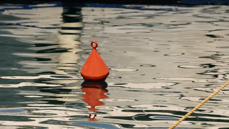 boya roja flotando en aguas tranquilas