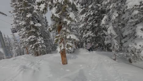 man snowboarding between trees. white snow slopes of aspen, colorado. extreme sports concept