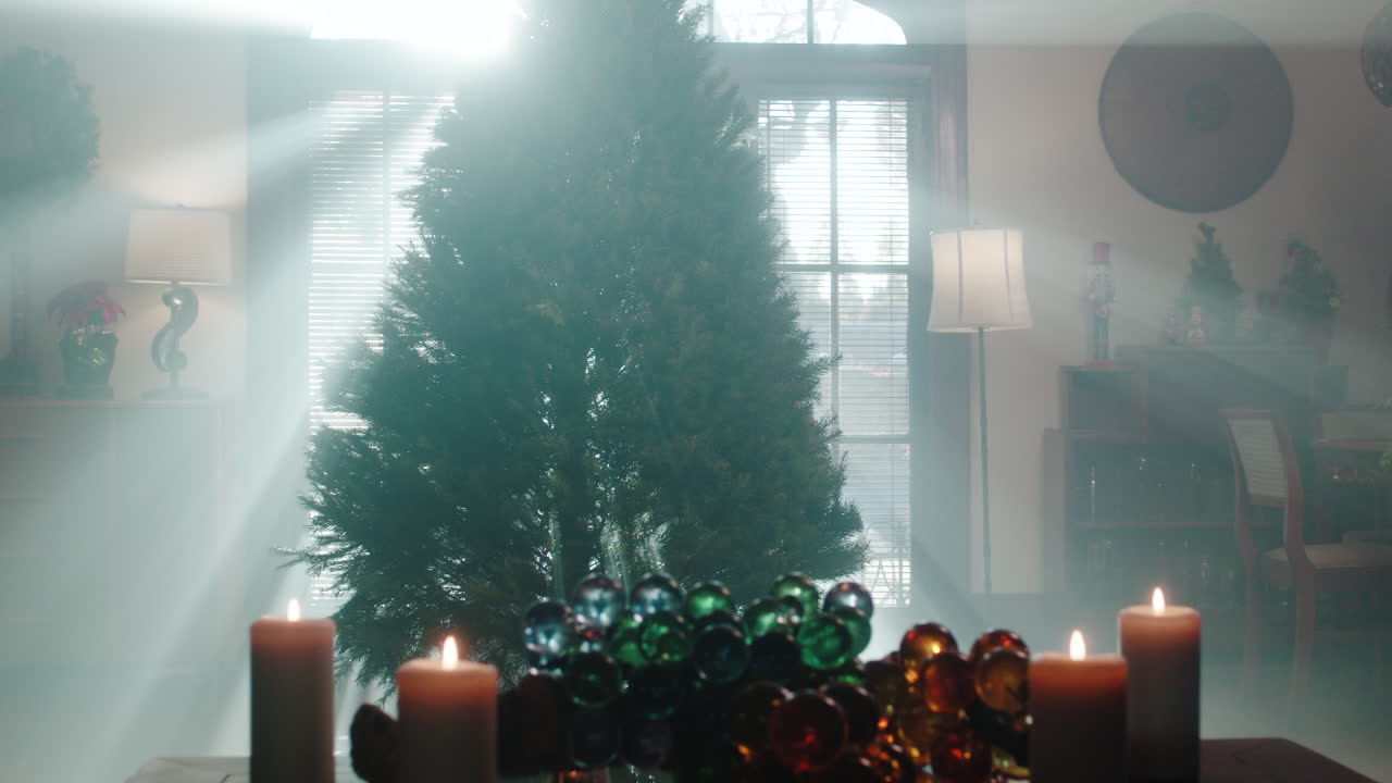 Woman arranging a Christmas tree in a festive home with atmospheric light rays