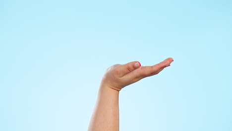 hand holding, zoom and person with product