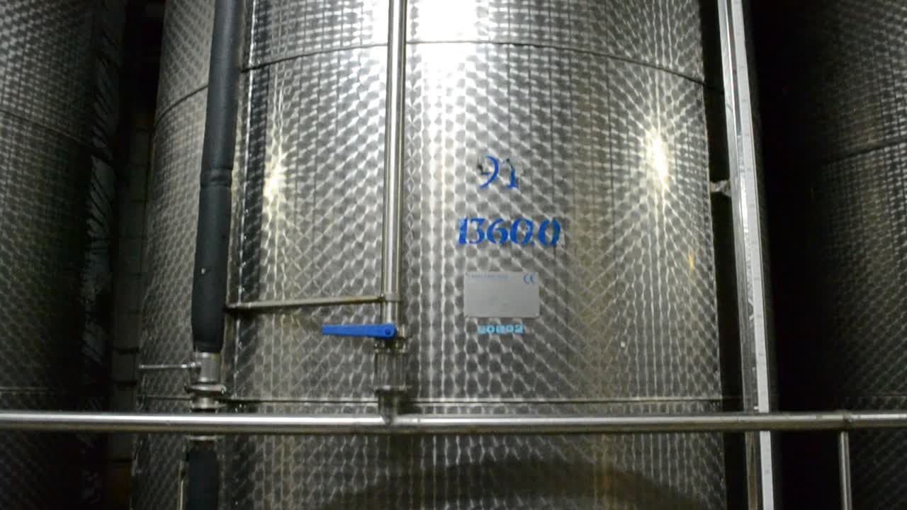 adega de vinho com barris