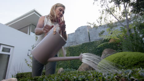 watering plants in garden, senior woman enjoying outdoor activity, copy space