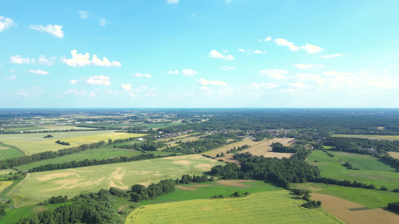 노란색과 초록색으로 다양한 작물의 농업 파일의 추상적인 기하학적 모양