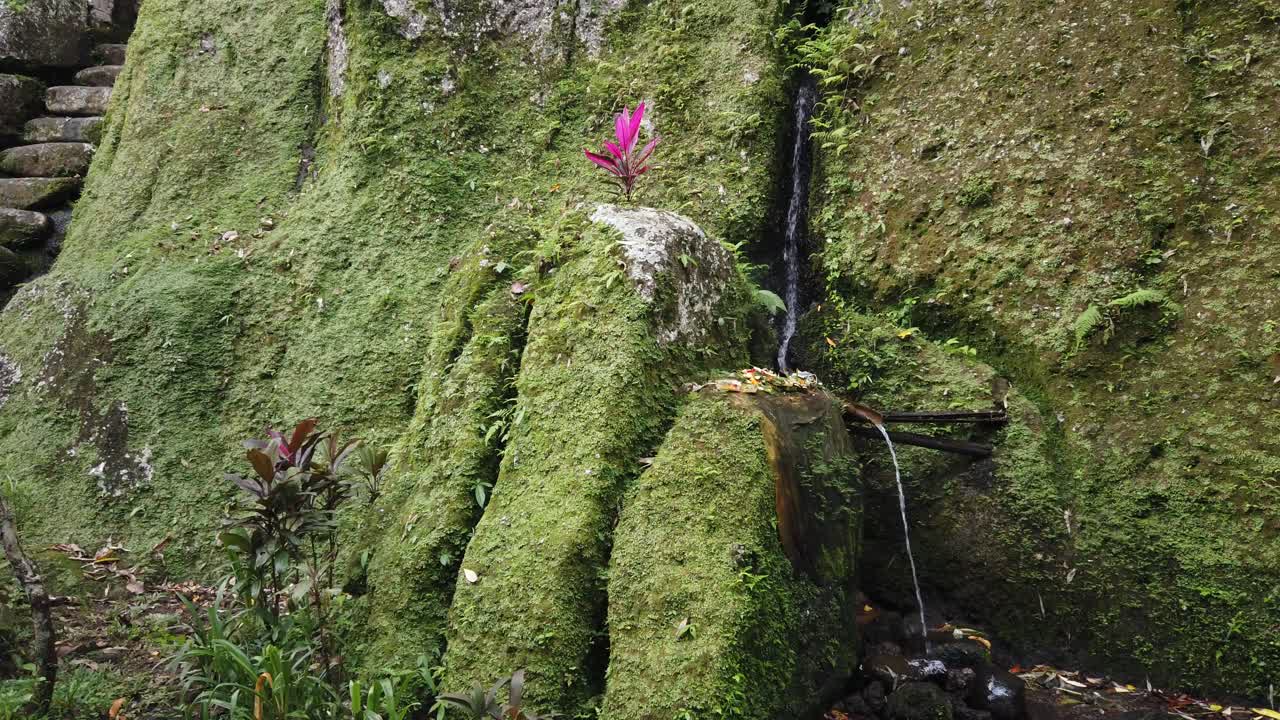 Balinese Ancient Temple Goa Garba, Archaeological Historical Site, Moss on Stone at Tampaksiring Village, Bali, Indonesia, Holy Praying Place in the Jungle