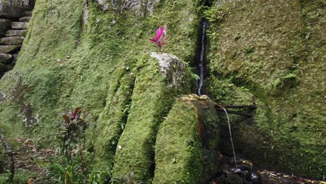 Balinese-Ancient-Temple-Goa-Garba,-Archaeological-Historical-Site,-Moss-on-Stone-at-Tampaksiring-Village,-Bali,-Indonesia,-Holy-Praying-Place-in-the-Jungle