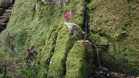 antiguo templo balinés goa garba, sitio histórico arqueológico, musgo sobre piedra en el pueblo de tampaksiring, bali, indonesia, lugar sagrado de oración en la jungla