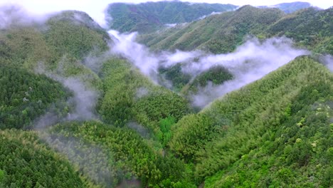 aerial photography of high mountains shrouded in clouds and mist after rain, humid climate, and green forests shrouded in mist
