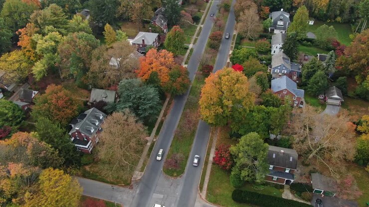 Area residenziale a Lancaster, Pennsylvania, veduta aerea del quartiere, strada a due corsie e viale alberato con foliage autunnale colorato