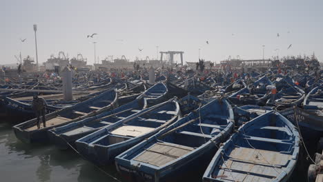 fishing boats at a busy port