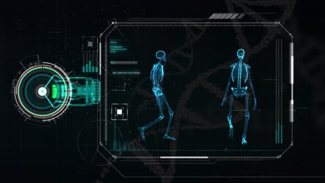 imágenes gráficas en 4k de un esqueleto humano