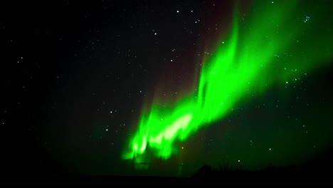 las luces del norte bailando sobre el musgo de la tundra