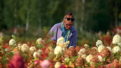 elderly woman enjoying the view of flowering garden park