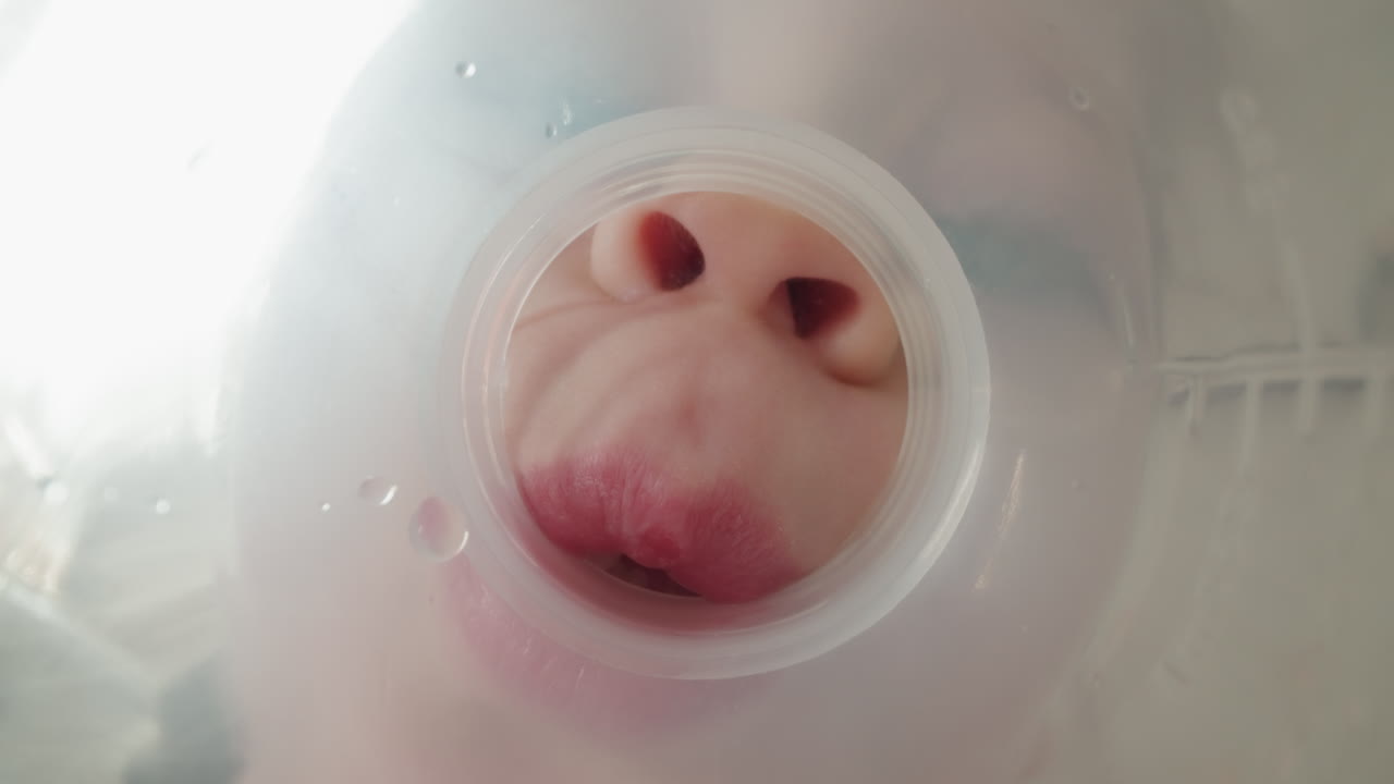 Bambina in età prescolare inclina la bottiglia di plastica e beve acqua dal collo.