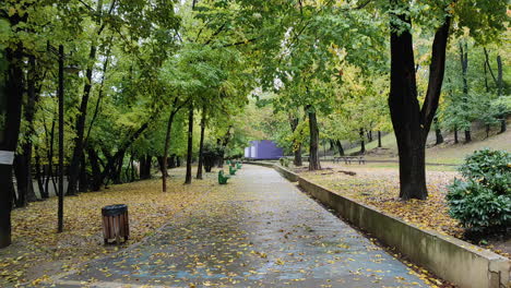 Vista-Frontal-Al-Aire-Libre-De-Un-Sendero-Para-Caminar-En-El-Parque-Con-árboles-Altos-En-Otoño