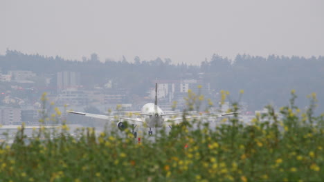 the airplane is landing over field of flowers - focus pulling