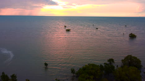 Disparo-Aéreo-De-Un-Dron-Mirando-Por-Encima-De-Los-Manglares-Hacia-Un-Increíble-Amanecer-Tropical