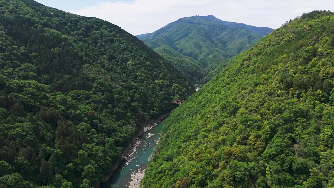 夏の京都、桂川にかかる2つの鉄道橋