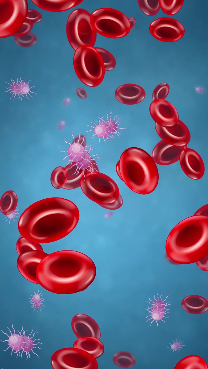 Microscopic 3D animation of red blood cells and bacteria drifting right against a blue background.